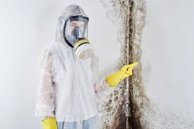 Best Air Quality Testing for Mold Spores  in Danville, KY